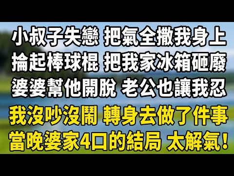 小叔子失戀 把氣全撒我身上,掄起棒球棍 把我家冰箱砸成廢鐵,婆婆公公幫他開脫 老公也讓我忍, 我沒吵沒鬧 轉身去做了件事,當晚婆家4口的結局 太解氣!#中老年故事 #養老生活 #婆媳矛盾