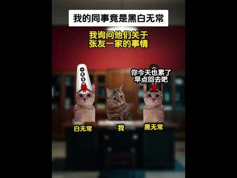 《非凡打工》第一季完结 #猫meme #猫meme小剧场 #猫meme故事 #超爆小故事