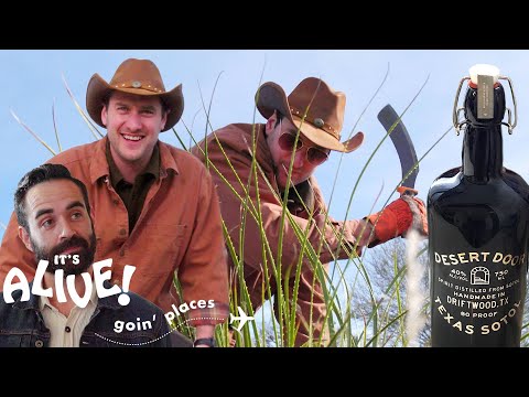 Brad Distills 80 Proof Alcohol (Sotol) | It's Alive: Goin' Places | Bon Appétit