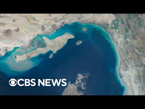 Iran attacks ships in Strait of Hormuz, Congress' approval rate at historic low, more | The Takeout