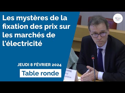 Les mystères de la fixation des prix sur les marchés de l'électricité