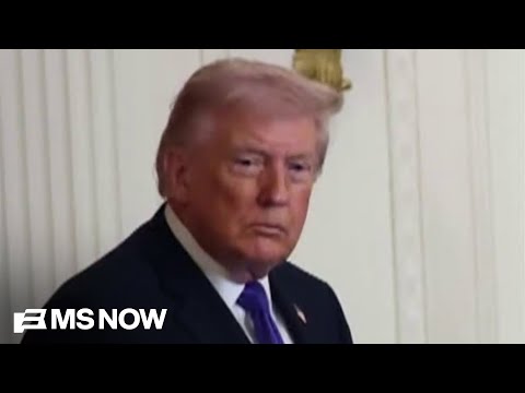 ‘Devastating splash of negative economic headlines’: Trump’s war with Iran puts oil prices in peril 