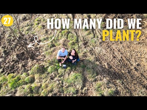 27 - Renovation Of Our Old Barn. Prep Work Before Excavating the Hill | Replanting Trees. 🌳🚜🌧️