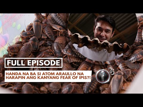 'Ipis What It Is,' dokyumentaryo ni Atom Araullo (Full Episode) | I-Witness