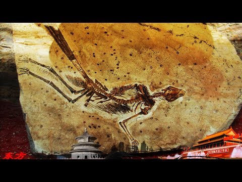 Geography of China 20170713 Gem Stones丨CCTV