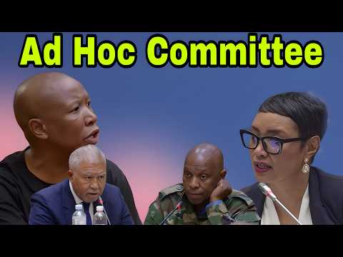 Ad Hoc Committee: Public Submissions