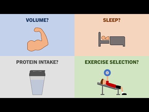 What are the Most Important Factors for Muscle Growth?