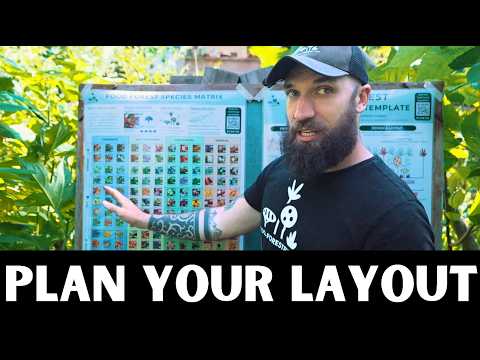 Design Your Food Forest Layout Step‑By‑Step (Free Templates Included)