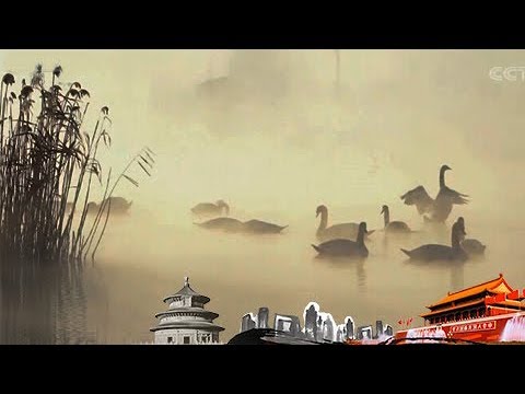 《地理中国》 20171125 百年地理大发现 鸟之谜 | CCTV