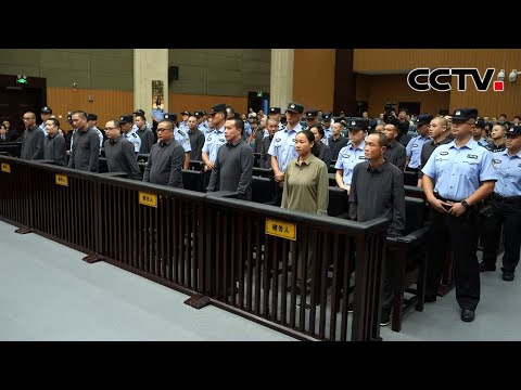 明家犯罪集团案11名罪犯1月29日被执行死刑 | CCTV中文《新闻直播间》