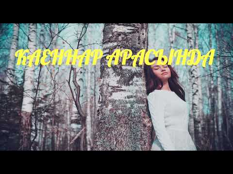 Флюза Гилемханова-Каеннар арасында- Ирек Габдрахманов  муз.,сузл.