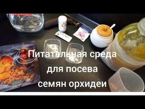 Самый простой способ приготовления среды для посева орхидеи # Питательная среда без заморочек