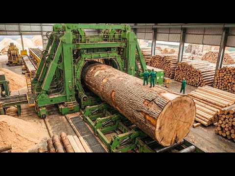 Inside the MASSIVE Pine Wood Factory – How High-Accuracy Timber Planks Are Made (Full Process)