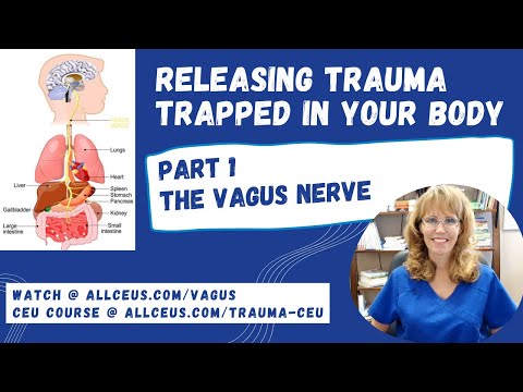 How Trauma Gets Trapped in Your Body: Part 1 the Vagus Nerve