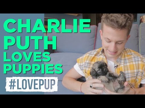 Charlie Puth Plays Keyboard w/ Puppies & Opens Up About Dog Attack