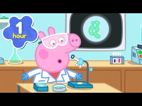 Learning About Lenses 👓 Peppa Pig Full Episodes | 1 Hour of Kids Cartoons
