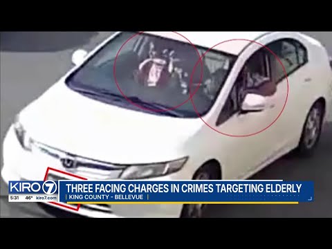 Three facing charges in crimes targeting elderly