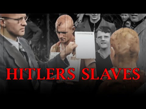 Forced labor of the Jews | Exploitation of Jews | Special
