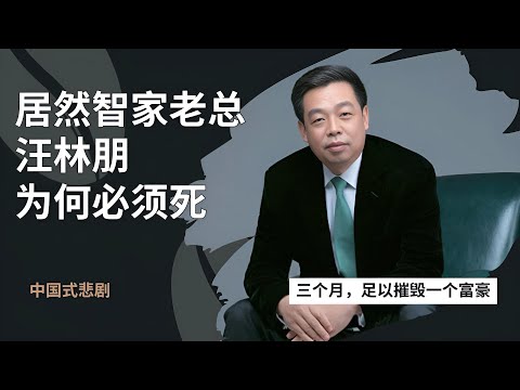 居然智家老总汪林朋为何必须死？一个人的命与一个系统的恶 🎙️IN核播客