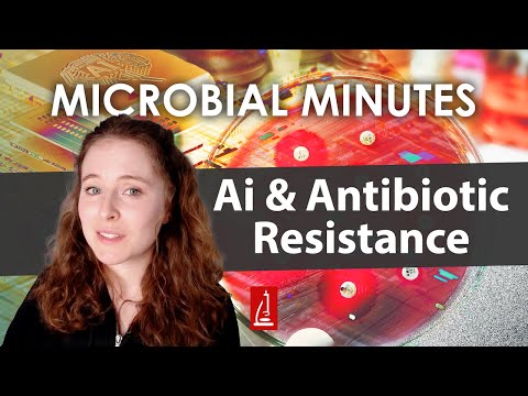 Using Artificial Intelligence to Detect Antibiotic Resistance