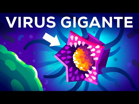 Este virus no debería existir (pero existe)