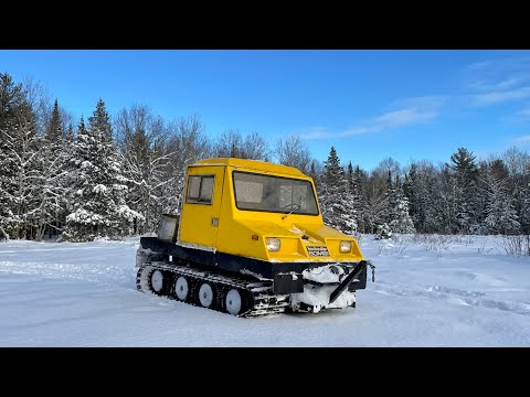 We Found Rare Snow Cat! Auction Christmas Shopping