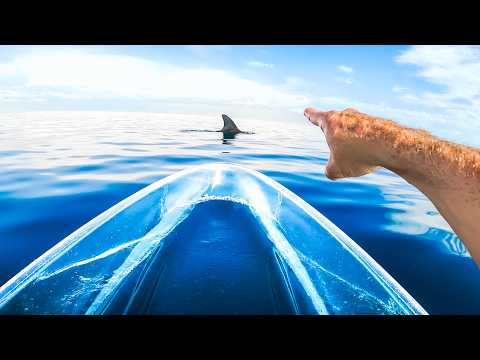 Exploring For Sea Creatures In My Transparent Kayak