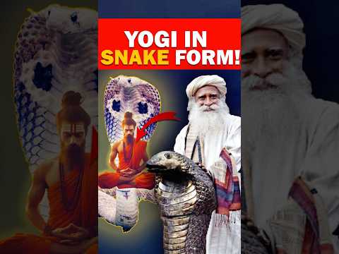 🔥YOGI in Form of a SNAKE! -Sadhguru #sadhguru #sadhgurulatest #snake