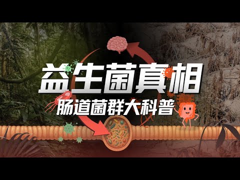 E193｜吃益生菌是智商税吗？全面复盘肠道健康迷思