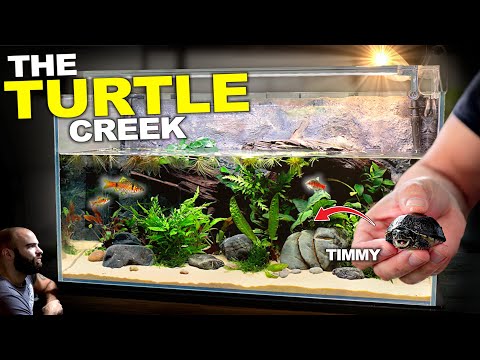 The Turtle Creek: AMAZING New Home for Timmy The Musk Turtle (DIY Background)