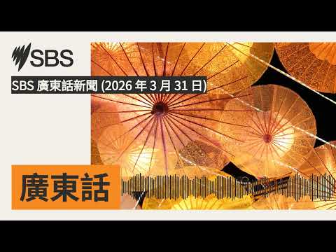 SBS 廣東話新聞 (2026 年 3 月 31 日) | SBS Cantonese - SBS廣東話節目