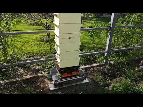 Японский улей. Пчеловодом может стать каждый.