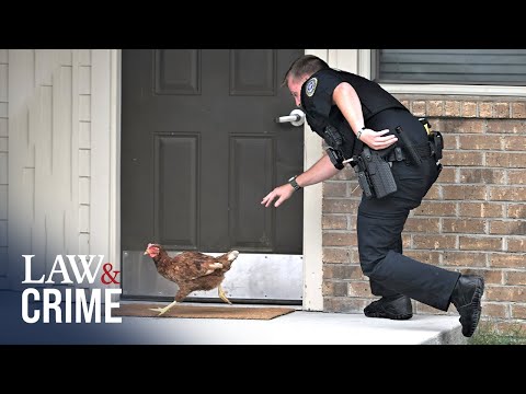Caught On Bodycam: Police Face Off with Animals On the Run