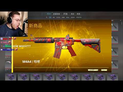 CS2's most insane inventory… a single ak is worth a house