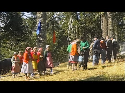 Los Últimos Pehuenches - Remasterizado