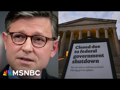 ‘It doesn’t matter what Dems offer,’ Republicans will 'say no’: Fmr. GOP aide on shutdown strategy