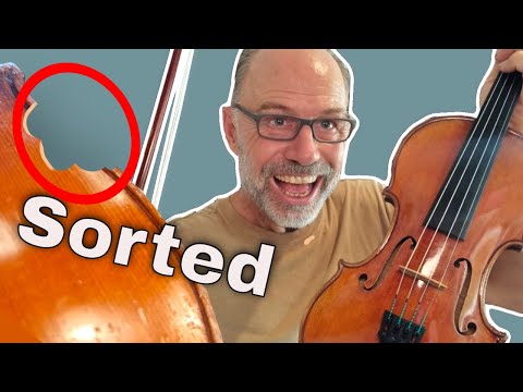 Violin Service - Did something chew the edges?