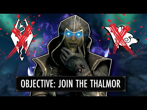 Skyrim But I Become A Thalmor Spy And DESTROY EVERYTHING