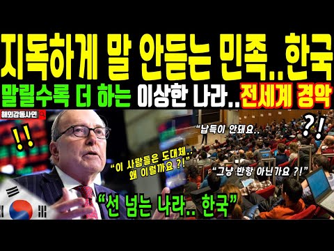 [해외감동사연] "이렇게 막 나가는 민족은 본 적이 없다" 미국 스탠포드대 교수의 일침, 절대 한국을 흉내 낼 생각 하지 마라
