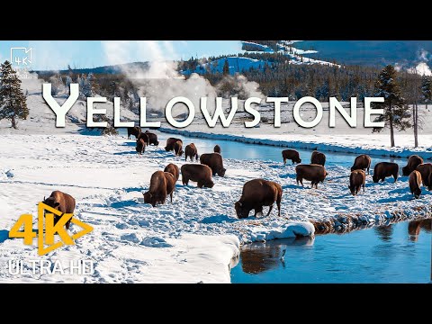 Yellowstone 4K - Discover the stunning beauty of the world's first national park