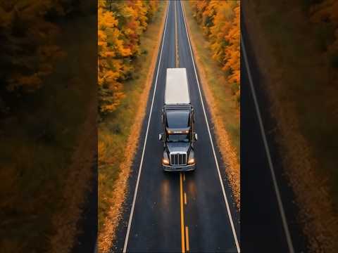 "Я дальнобой"- pegascinema.  #музыка #шансон #хиты