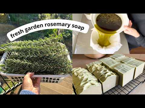 🌿 Making soap with fresh rosemary from my garden