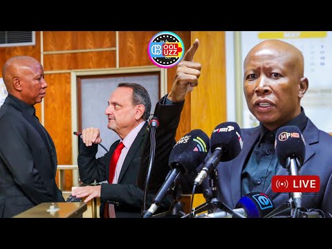 See How Julius Malema Embarrassed This Lawyer￼ in Court Today