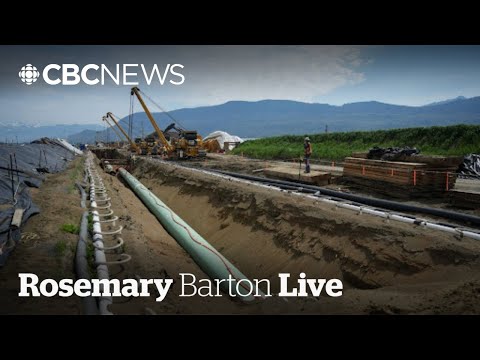 What an energy CEO thinks it will take to make Canada an ‘energy superpower’