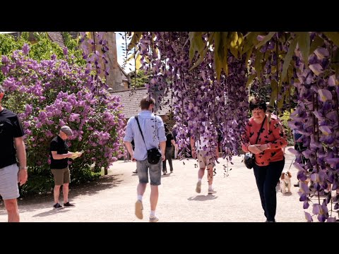 Hidcote Gardens in full bloom - Enchanting secret garden rooms and peaceful tranquility.