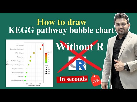How to draw KEGG pathway enrichment bubble chart?