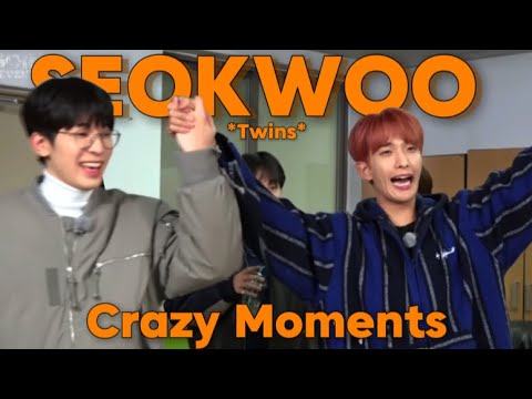 SeokWoo ✨DuMB & DUmBeR✨ Moments | DUO #3