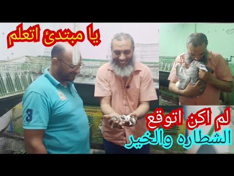 فاجئتني يا وليد في خلال سنه بقيت احسن مني ملخص١٣٠٠ فيديو في تربيه الارانب الله يباركلك