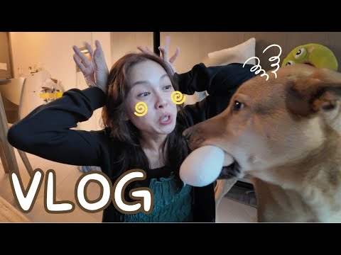 【VLOG】每天特定任務🥗INFJ的忙碌日常＼永遠都在計劃行程／📝也是Concord的Vlog