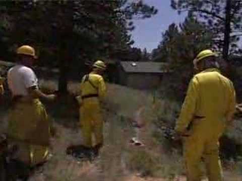 Firefighter Safety in the Wildland/Urban Interface